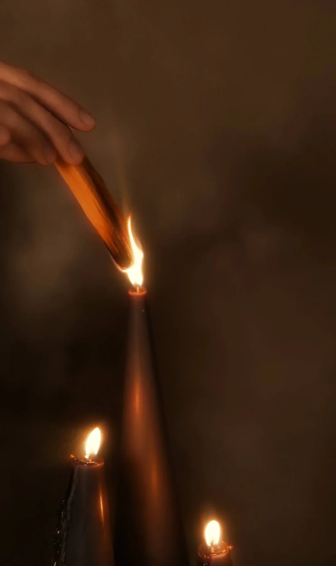 Palo Santo, 3 палички